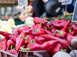 Exportaciones de pimiento piquillo peruano crecen 10.5% y superan los US$ 20 millones entre enero y abril