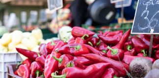 Exportaciones de pimiento piquillo peruano crecen 10.5% y superan los US$ 20 millones entre enero y abril