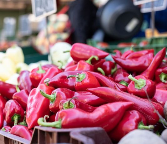 Exportaciones de pimiento piquillo peruano crecen 10.5% y superan los US$ 20 millones entre enero y abril