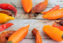 Cadena de capsicum activa medidas preventivas ante posible Fenómeno de El Niño