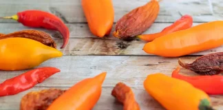 Cadena de capsicum activa medidas preventivas ante posible Fenómeno de El Niño