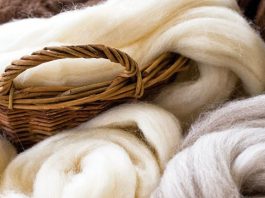 Chile abre mercado en India y fortalece exportaciones de lana ovina