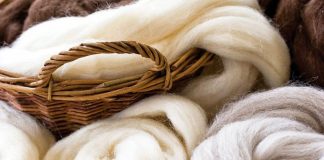 Chile abre mercado en India y fortalece exportaciones de lana ovina