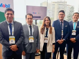 Terpel: “Eficiencia operativa y sostenibilidad marcan la agenda de la minería peruana de los próximos años”