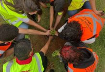 DHL Supply Chain reduce 23,700 toneladas de CO₂e en Latinoamérica y expande su impacto social