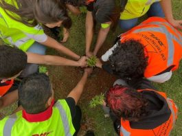 DHL Supply Chain reduce 23,700 toneladas de CO₂e en Latinoamérica y expande su impacto social