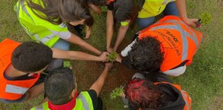 DHL Supply Chain reduce 23,700 toneladas de CO₂e en Latinoamérica y expande su impacto social