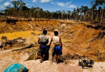 Minería ilegal y narcotráfico ya operan como una sola red criminal en la Amazonía, advierte informe