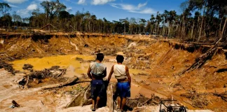 Minería ilegal y narcotráfico ya operan como una sola red criminal en la Amazonía, advierte informe