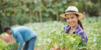 Créditos de activo fijo impulsan la productividad agraria en la zona centro del país