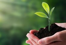ISO 14001: actualización establece una mayor integración del cambio climático en los sistemas de gestión ambiental