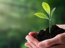 ISO 14001: actualización establece una mayor integración del cambio climático en los sistemas de gestión ambiental