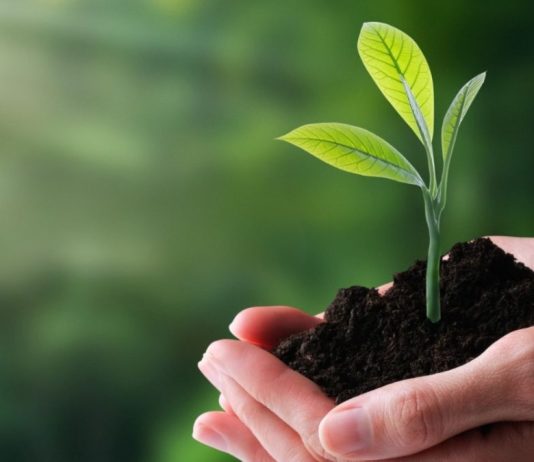 ISO 14001: actualización establece una mayor integración del cambio climático en los sistemas de gestión ambiental
