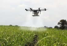 La modernización del sector agrícola: tecnología aplicada al campo peruano