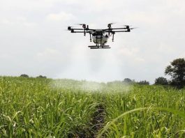 La modernización del sector agrícola: tecnología aplicada al campo peruano
