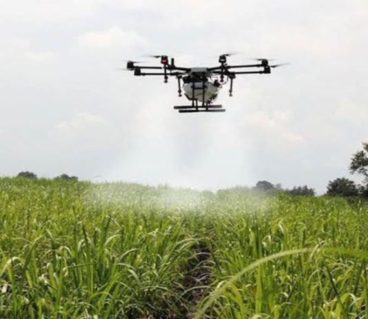 La modernización del sector agrícola: tecnología aplicada al campo peruano