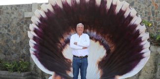 Acuapesca exporta por primera vez conchas de abanico a Paraguay y amplía presencia regional
