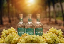 Pisco Fontana apunta a España y Reino Unido para ampliar su presencia internacional