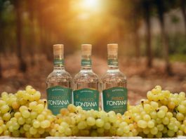 Pisco Fontana apunta a España y Reino Unido para ampliar su presencia internacional