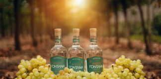 Pisco Fontana apunta a España y Reino Unido para ampliar su presencia internacional