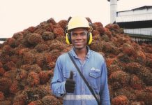 Colombia: Bioplantas impulsa exportaciones de aceite de palma y un modelo basado en energía renovable