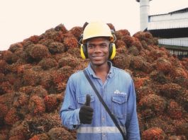 Colombia: Bioplantas impulsa exportaciones de aceite de palma y un modelo basado en energía renovable