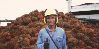 Colombia: Bioplantas impulsa exportaciones de aceite de palma y un modelo basado en energía renovable