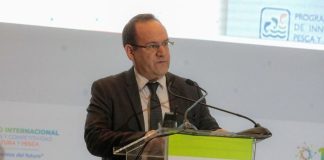 CODIP designa a José Antonio Salardi como nuevo director ejecutivo en Perú