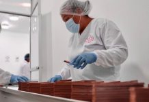 Empresas exportadoras peruanas crecen 4% en 2026 y superan las 6 mil firmas