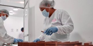 Empresas exportadoras peruanas crecen 4% en 2026 y superan las 6 mil firmas