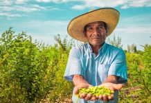 Día del Campesino: más de 2 millones de productores alimentan al Perú