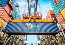 Exportaciones peruanas: nuevas oportunidades impulsan la expansión empresarial