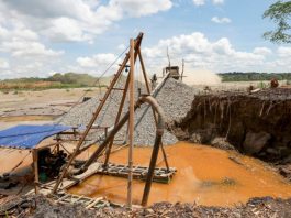 IIMP: institucionalidad y lucha contra minería ilegal son clave para atraer inversiones