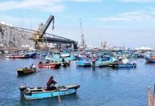 Congreso impulsa formalización de más de 2.000 embarcaciones pesqueras en medio de alertas por sobrepesca