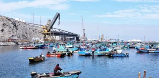 Congreso impulsa formalización de más de 2.000 embarcaciones pesqueras en medio de alertas por sobrepesca