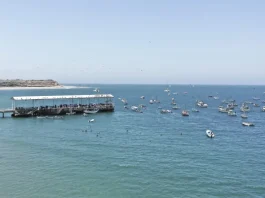 El mar peruano en peligro por la pesca ilegal y el cambio climático