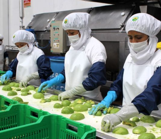 Despachos no tradicionales a España ascendieron a US$ 460 millones
