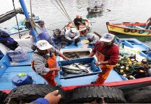 Actividad económica creció 1.8% en mayo por impacto climático, pero demanda interna mantiene dinamismo