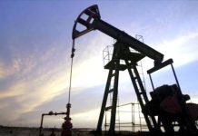 Conflicto en Medio Oriente podría elevar los fletes marítimos y afectar exportaciones peruanas