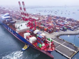 Puerto del Callao movilizó más del 60% de las principales agroexportaciones peruanas