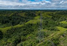 ENGIE Perú: “La transición energética requiere preservar la confiabilidad del suministro”