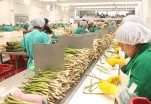 ADEX: El Niño ya afecta al sector agro