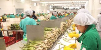 ADEX: El Niño ya afecta al sector agro