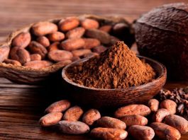 Promperú busca impulsar USD 10 millones en negocios para el cacao peruano