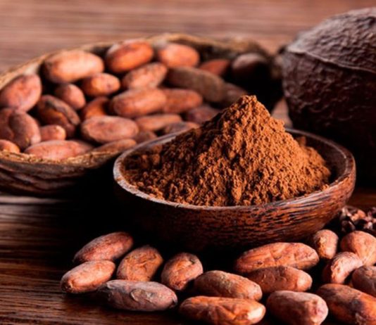Promperú busca impulsar USD 10 millones en negocios para el cacao peruano
