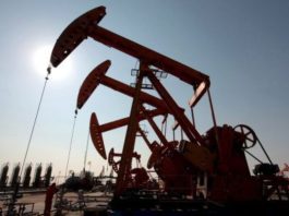 Perupetro inicia convocatoria para seleccionar al nuevo operador del Lote 207 en Piura