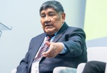 Rómulo Mucho: Perú debe avanzar hacia la industrialización de los minerales críticos