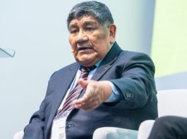Rómulo Mucho: Perú debe avanzar hacia la industrialización de los minerales críticos