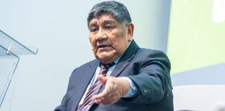 Rómulo Mucho: Perú debe avanzar hacia la industrialización de los minerales críticos