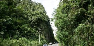 IIRSA Norte plantea invertir más de US$ 1 millón para reforzar el mantenimiento de la vía Amazonas Norte